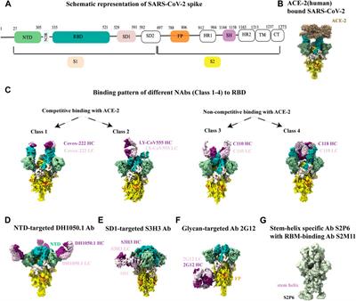 Cryo-electron microscopy in the study of virus entry and infection